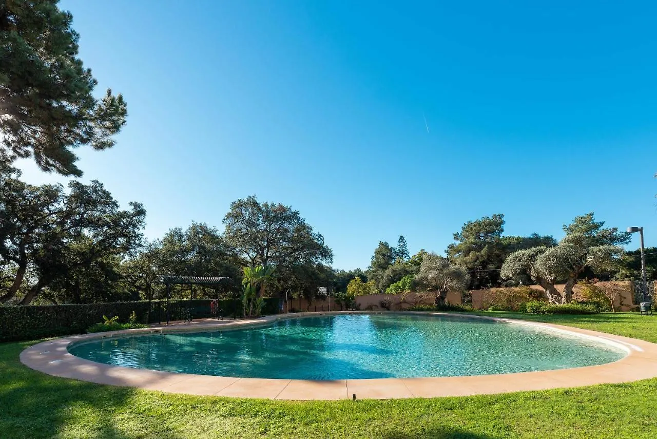 Penthouse Apartment In Elviria Marbella Holiday home